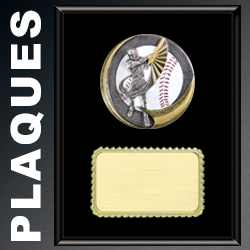 WTC_WebIcons_Baseball_Plaques[2183]